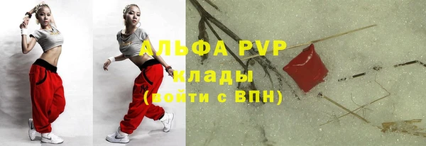 шишки Гусев