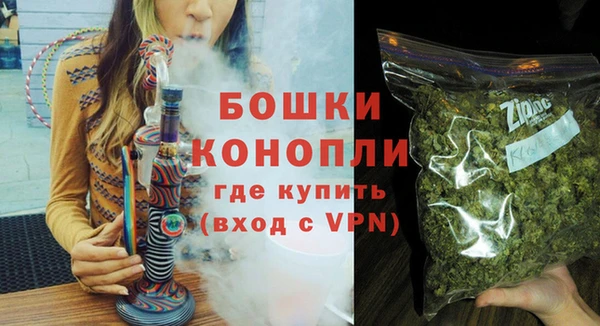 шишки Гусев