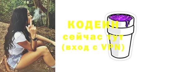 шишки Гусев