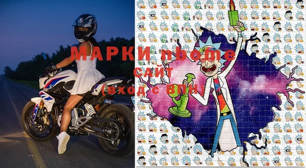 шишки Гусев