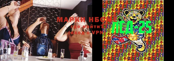 шишки Гусев