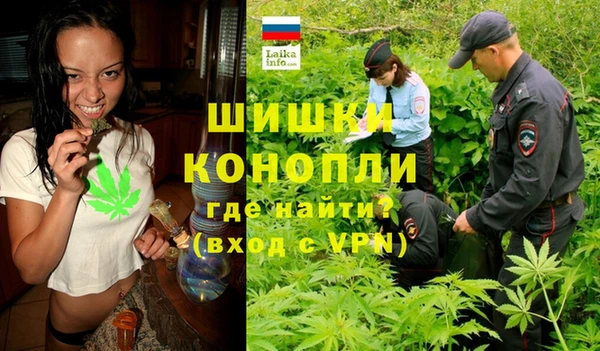 дживик Гусь-Хрустальный