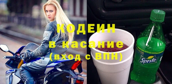 шишки Гусев