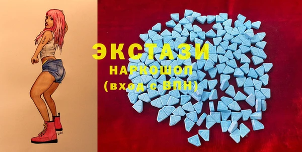 шишки Гусев