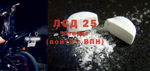 шишки Гусев